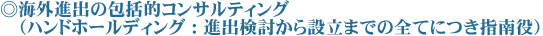 海外進出の包括的コンサルティング （ハンドホールディング：進出検討から設立までの全てにつき指南役）